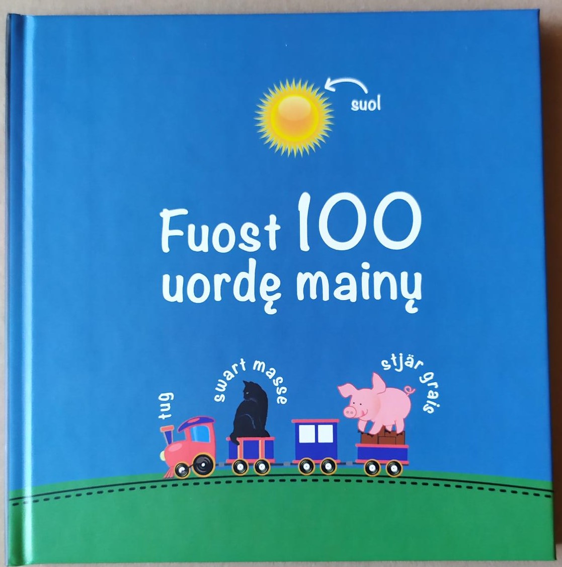 Fuost 100 uorde mainu