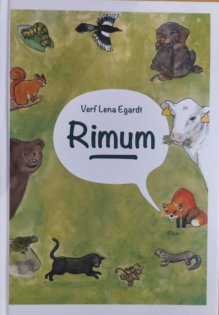 Rimum